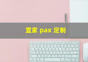 宜家 pax 定制